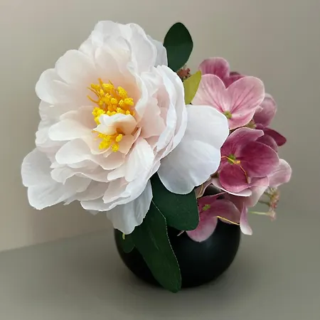 Black Vanilla Varna